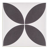 Quattro Black & White