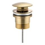 Dome Pop Up Waste, Universal 32mm/40mm, Suits Overflow and Non-Overflow, Brushed Brass (Gold)