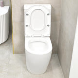 Hysett Q Back to Wall Toilet Suite, Matte White