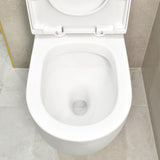 Hysett Q Back to Wall Toilet Suite, Matte White