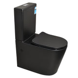 Tiffalo Rimless Back to Wall Toilet Suite | Matte Black |