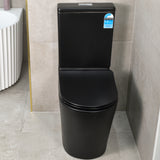 Tiffalo Rimless Back to Wall Toilet Suite | Matte Black |
