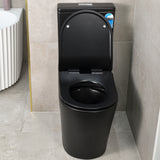 Tiffalo Rimless Back to Wall Toilet Suite | Matte Black |