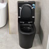 Tiffalo Rimless Back to Wall Toilet Suite | Matte Black |