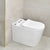 Tiffalo Rimless Back to Wall Toilet Suite | Matte White |