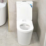 Tiffalo Rimless Back to Wall Toilet Suite | Matte White |