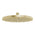 Phoenix Vivid Shower Rose 230mm Round | Brushed Gold |