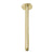 Phoenix Vivid Ceiling Arm 300mm | Brushed Gold |