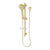 Phoenix Vivid Rail Shower | Brushed Gold |
