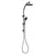 Phoenix Vivid Twin Shower | Matte Black |