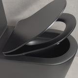 Tiffalo Rimless Back to Wall Toilet Suite, Matte Black