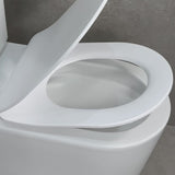 Tiffalo Rimless Back to Wall Toilet Suite | Matte White |
