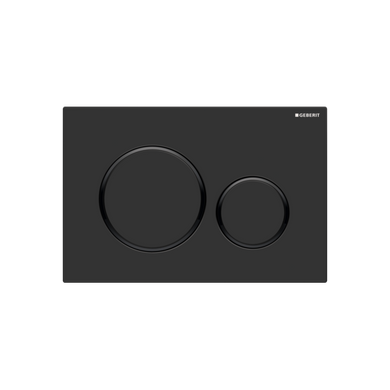 Geberit Sigma20 Dual Flush Button & Access Plate, Matte Black