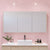 Timberline Denver Shaving Cabinet with Polished Edge | 36 Colours Available, Sizes from 600mm to 1800mm |